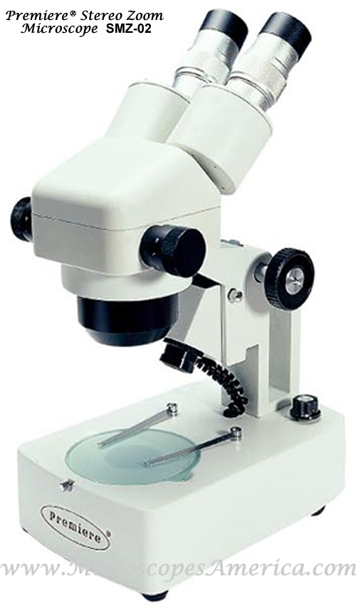 Microscopio Discovery Centi 02 con libro * Digitalissimo Shop