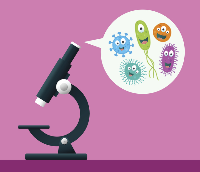 Microscope dust cover